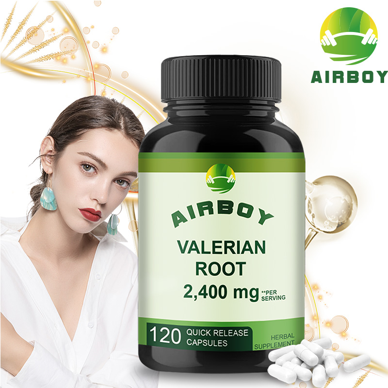 Valerian Root Capsule - Valerian Root - ให้การสนับสนุนการนอนหลับ ยืดเวลาการนอนหลับ ปรับปรุงคุณภาพการนอนหลับ