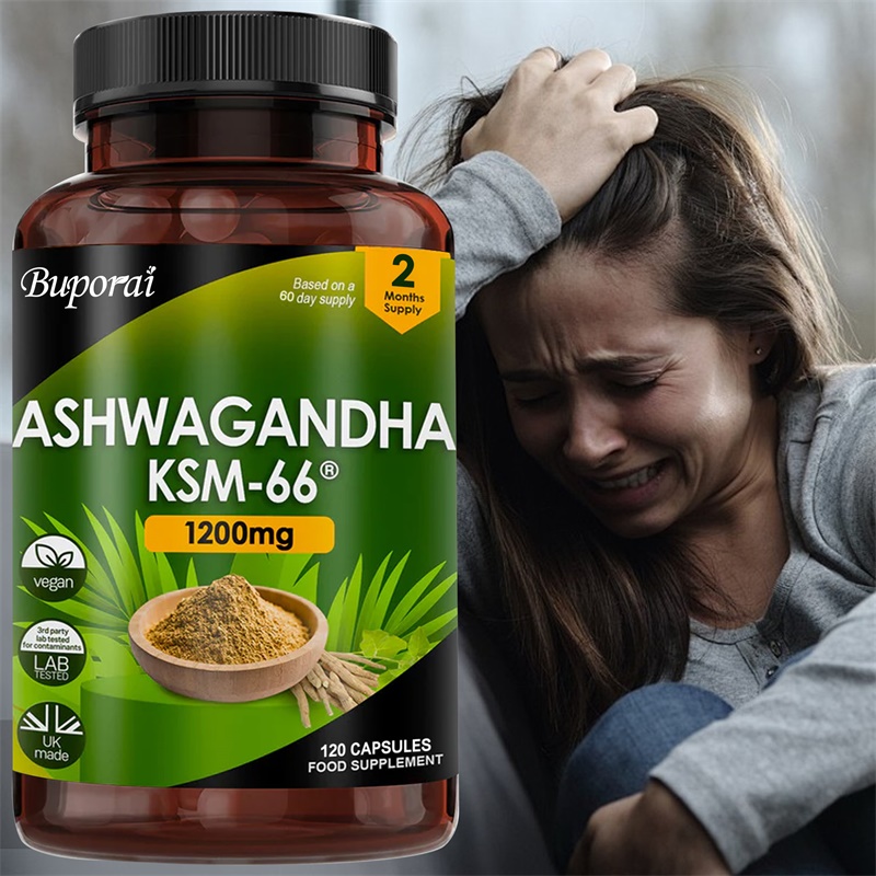 Ginkgo Biloba Extract - Ashwagandha KSM-66 1200mg - รองรับสุขภาพระบบภูมิคุ้มกัน ช่วยบรรเทาความเครียด