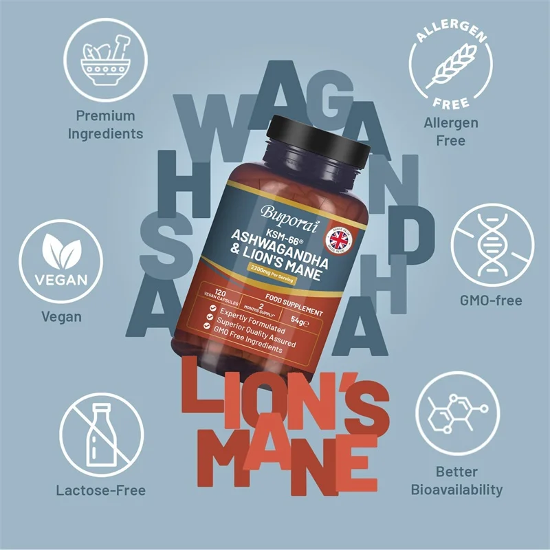 อัศวกันธาและไลออน’ส เมน - บรรเ - Ginkgo Biloba Extract บทวิจารณ์และราคา