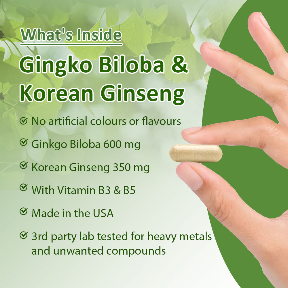 แคปซูลแปะก๊วยและโสมเกาหลี ช่วย - Ginkgo Biloba Extract บทวิจารณ์และราคา